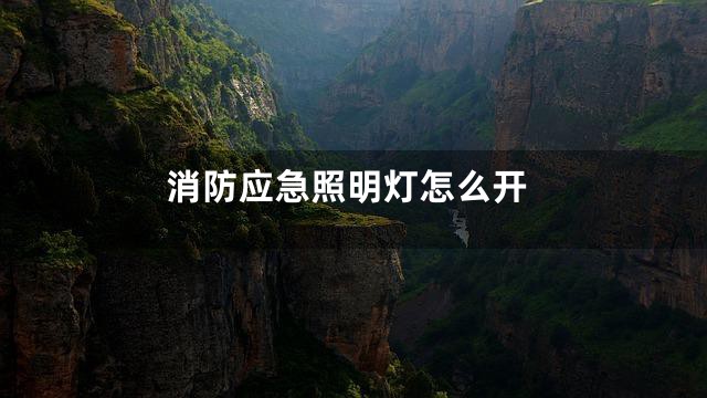 消防应急照明灯怎么开