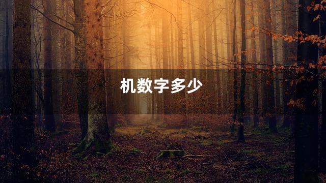 机数字多少