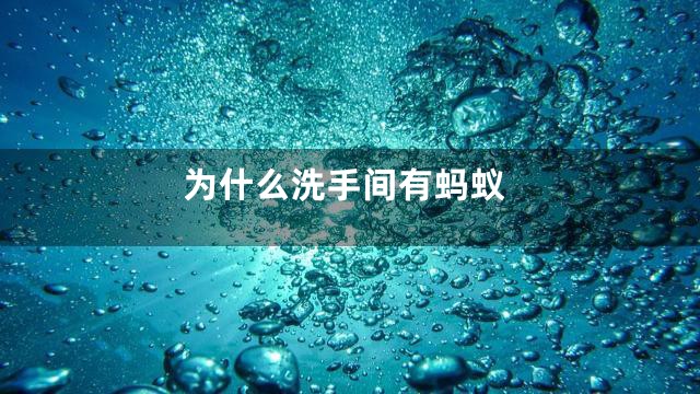 为什么洗手间有蚂蚁