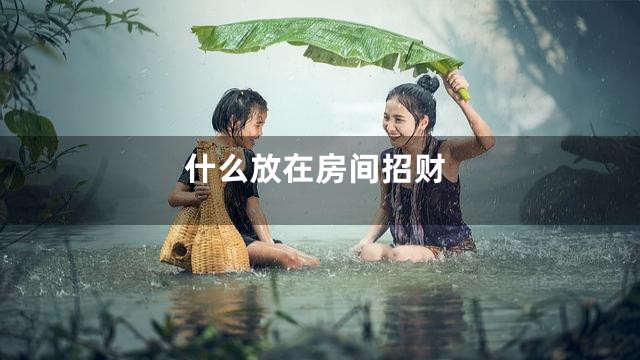 什么放在房间招财