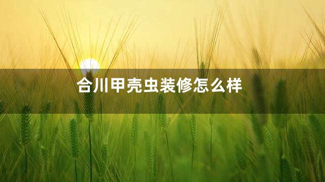 合川甲壳虫装修怎么样