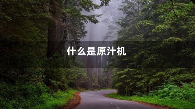 什么是原汁机
