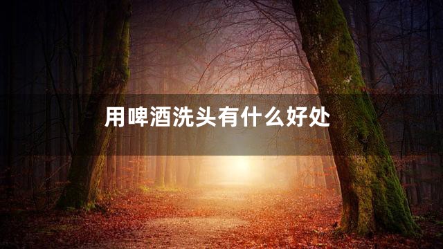 用啤酒洗头有什么好处