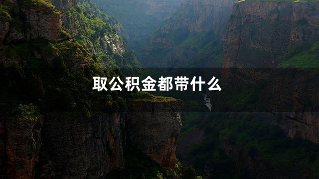 取公积金都带什么