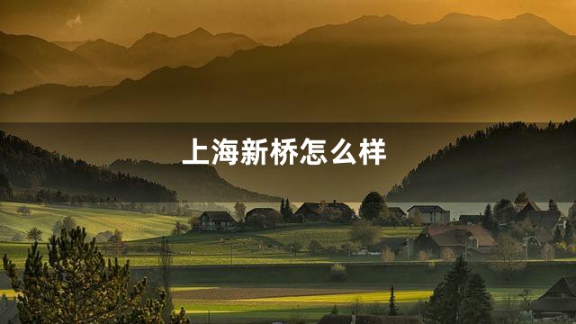 上海新桥怎么样