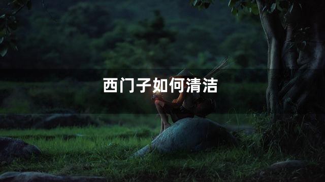 西门子如何清洁