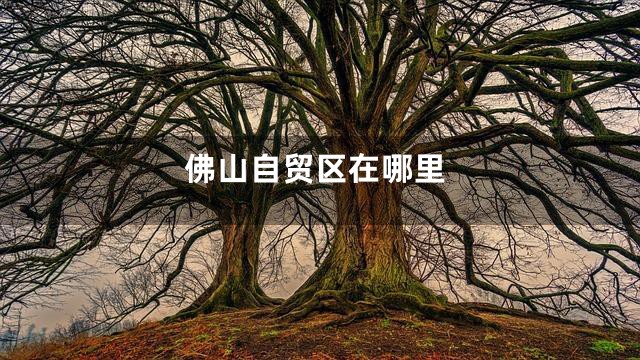 佛山自贸区在哪里