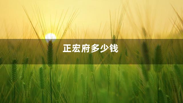 正宏府多少钱