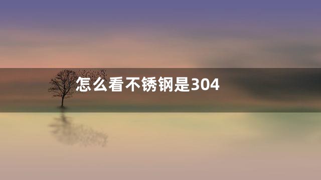 怎么看不锈钢是304