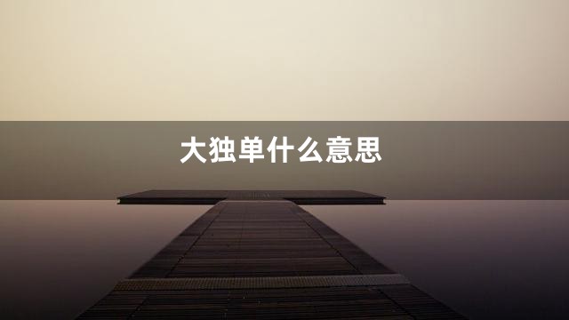 大独单什么意思