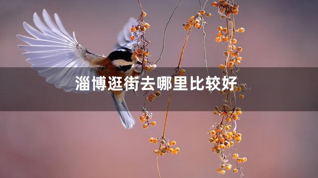 淄博逛街去哪里比较好