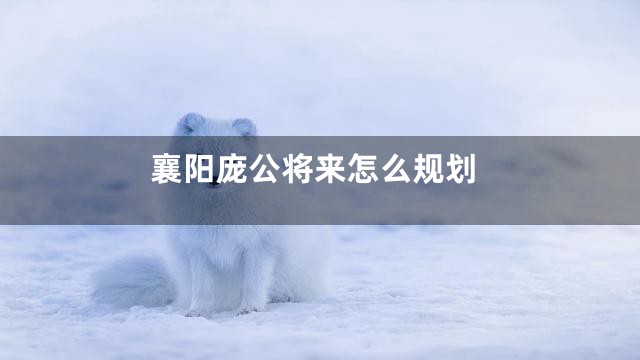 襄阳庞公将来怎么规划