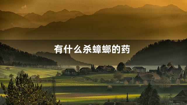有什么杀蟑螂的药
