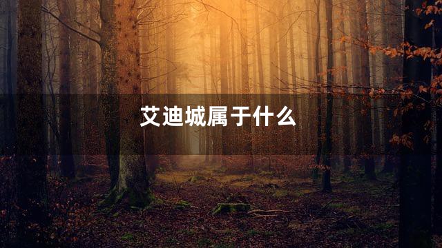 艾迪城属于什么