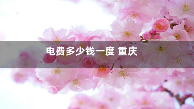 电费多少钱一度 重庆