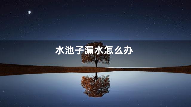 水池子漏水怎么办
