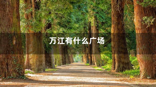 万江有什么广场
