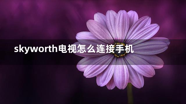 skyworth电视怎么连接手机