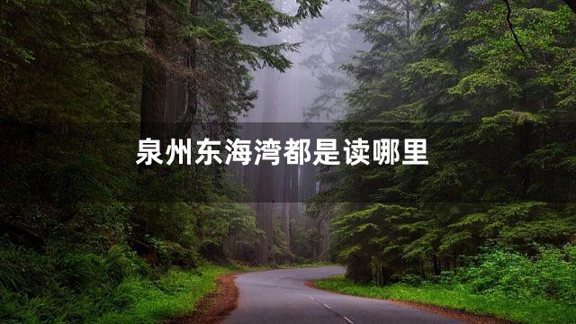 泉州东海湾都是读哪里