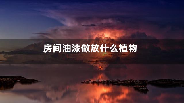房间油漆做放什么植物