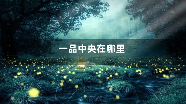 一品中央在哪里