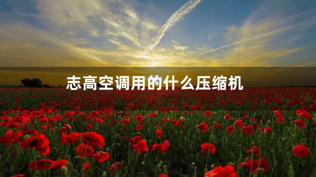 志高空调用的什么压缩机
