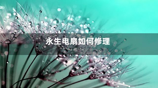 永生电扇如何修理