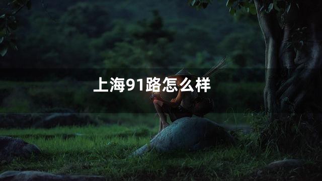上海91路怎么样