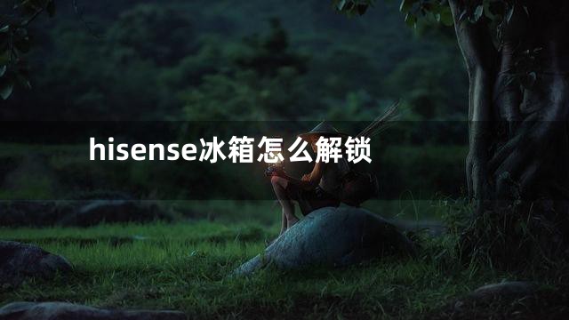 hisense冰箱怎么解锁