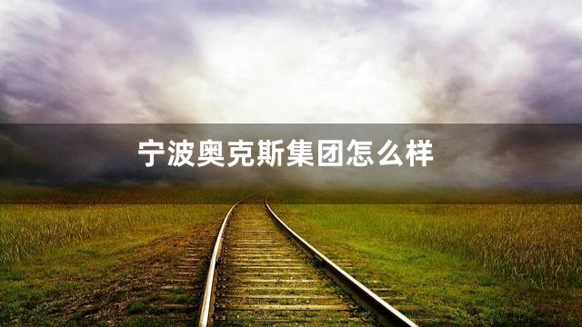 宁波奥克斯集团怎么样