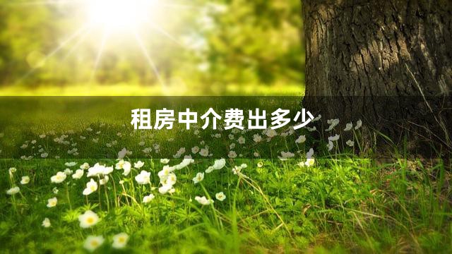 租房中介费出多少