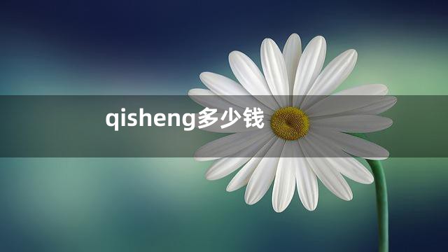 qisheng多少钱