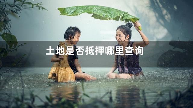 土地是否抵押哪里查询