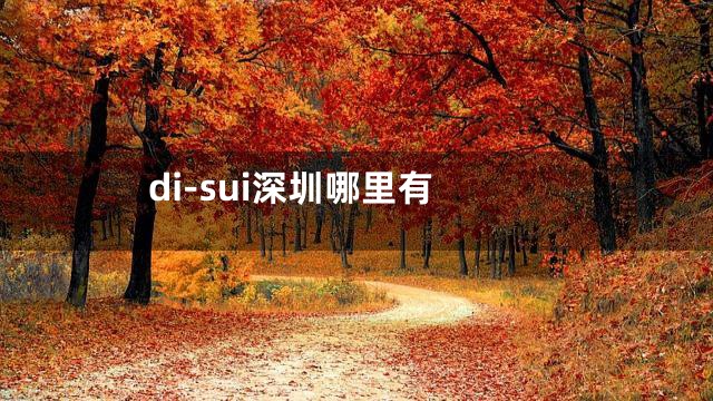 di-sui深圳哪里有