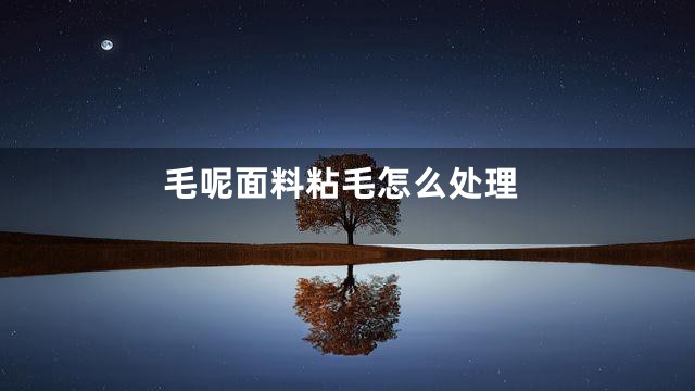 毛呢面料粘毛怎么处理