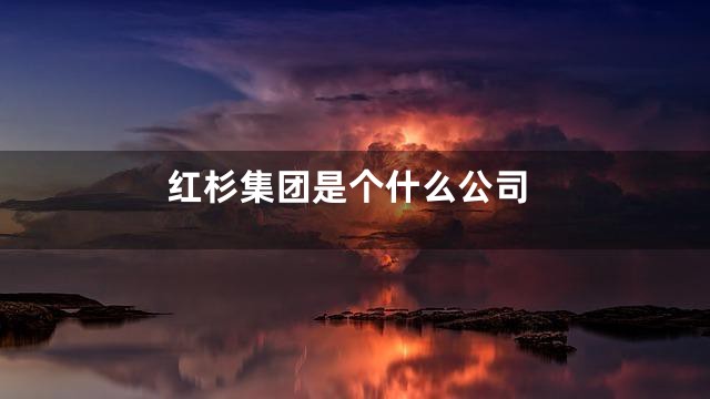 红杉集团是个什么公司