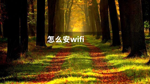 怎么安wifi