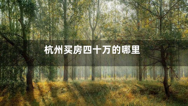 杭州买房四十万的哪里