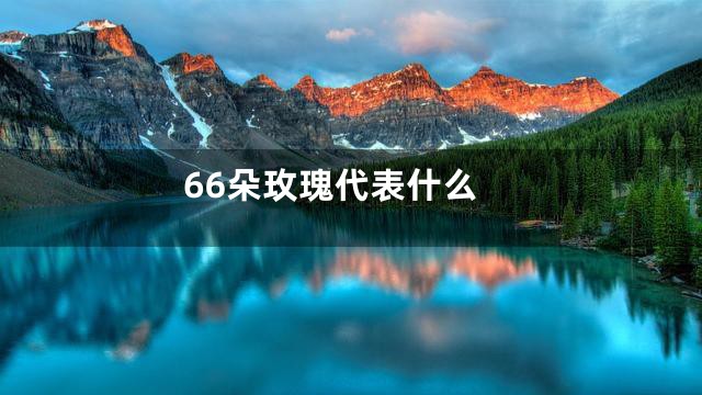 66朵玫瑰代表什么