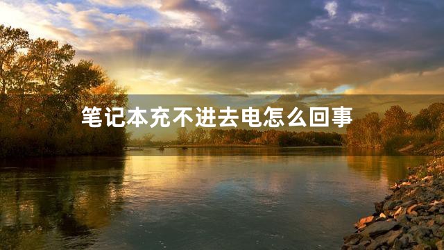 笔记本充不进去电怎么回事