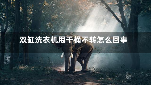 双缸洗衣机甩干桶不转怎么回事