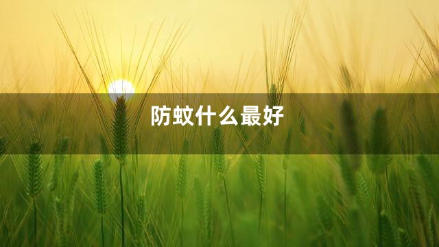 防蚊什么最好