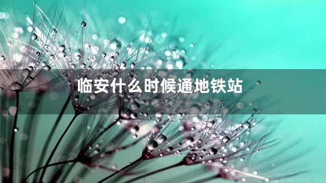 临安什么时候通地铁站