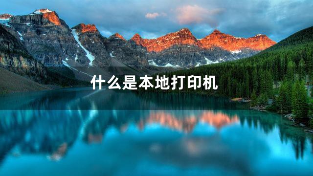 什么是本地打印机