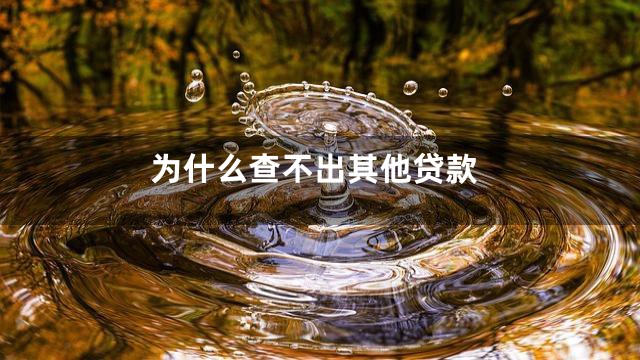 为什么查不出其他贷款
