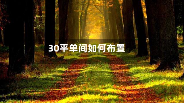 30平单间如何布置