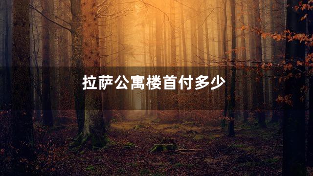 拉萨公寓楼首付多少