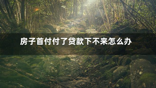 房子首付付了贷款下不来怎么办