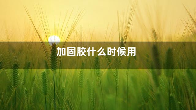 加固胶什么时候用
