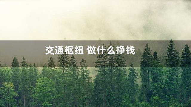 交通枢纽 做什么挣钱